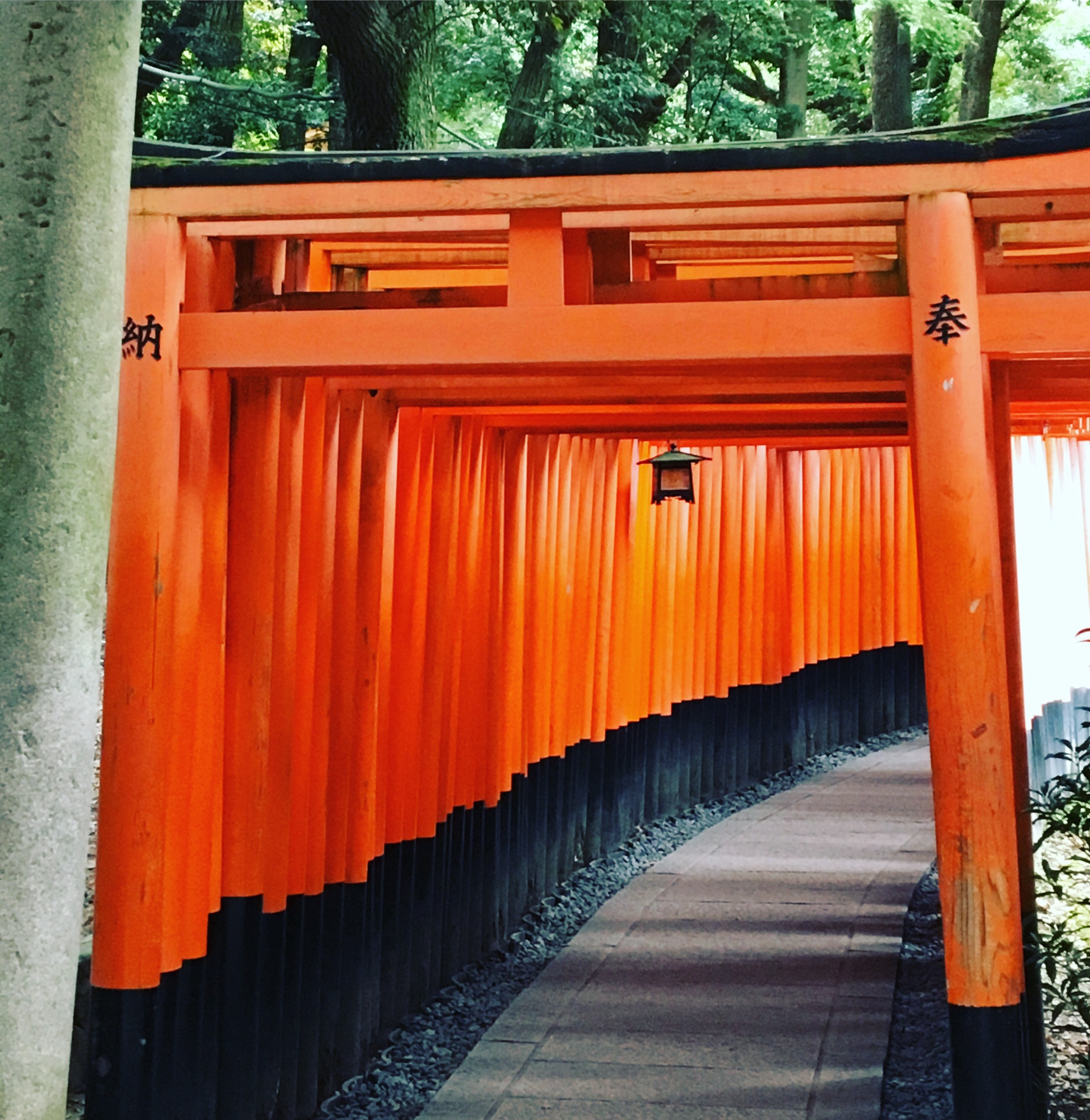#35 Japan: An Epic Food and Cultural Experience